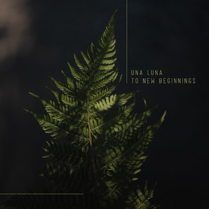 木马鞭打滴蜡SM女攻
